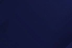 Light & Wonder2025年新老虎机销量增长30%